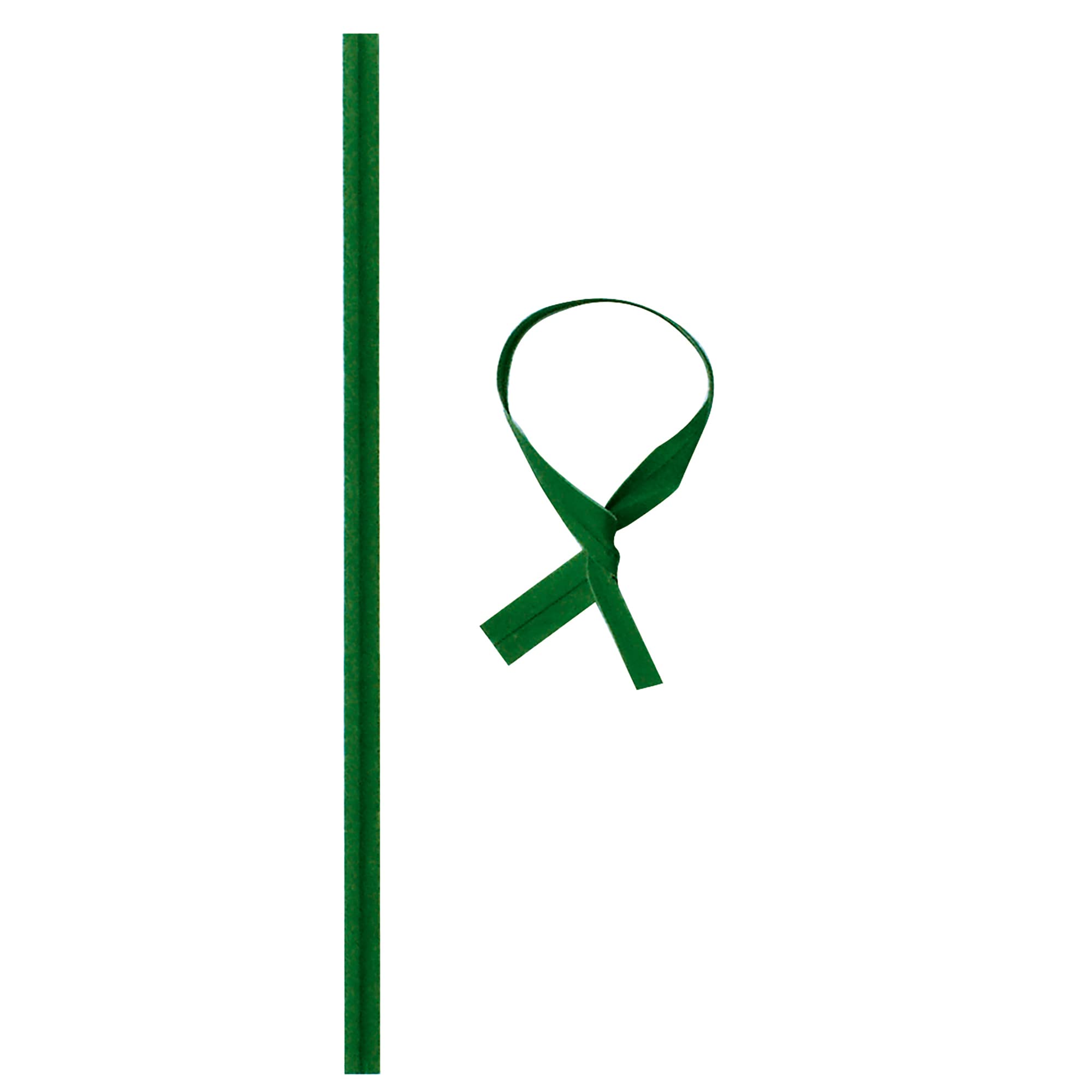 TENAX Piattina PVC 20 cm Verde 1000 Pezzi Fascetta Filo Acciaio Legatura Piante Fiori Sacchetti