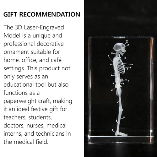 Image of 3D Human Skeleton Crystal Model Skeletal Anatomical Model for Home and Office Decoration, Unique Gift for Doctors and Students
