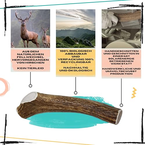 Hirschgeweih für Hunde | Größe L Hunde von 20 bis 30 Kg | Natürliche Zahnreinigung | Langanhaltender Kauspaß | 100% Natürliche Mineralienquelle | Stressabbau | Futtermittelunverträglichkeiten