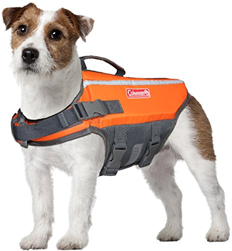 PFD for Dogs
