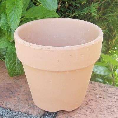 Amazon 6号 素焼き鉢 穴あり 植木鉢 陶器 国産 Su6 鉢