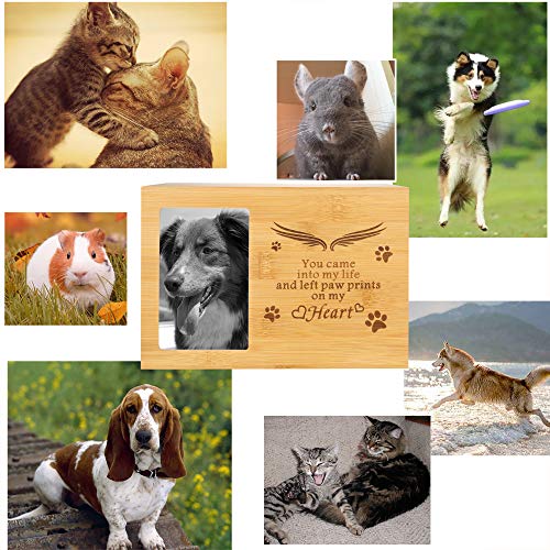 BAMTALK Pet Memorial Urn for Ashes, Cat or Dog Memory Box, Pet Memorial Keepsake, Pet Cremation Urn with Photo Frame, Wooden Nature Bamboo Urn for Pet Lovers (Natural Color) - Thumbnail 6