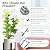 2 Pack 30 Inch Taller Plant Trellis for Potted Climbing Plants Indoor,Expandable Metal Garden Trellis for Climbing Plants,Flowers Vine Ivy, Sturdy Houseplant Support for Potted Plants with Ties