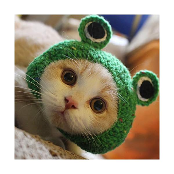 Yuyww adorable pet funny hat cartoon frog shape pet cap weaving puppy cat hat pet grooming supplies for everyday decoration christmas halloween decoration use 1pcs