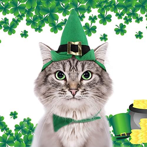 Party Green Fedora Cat Party Outfit 