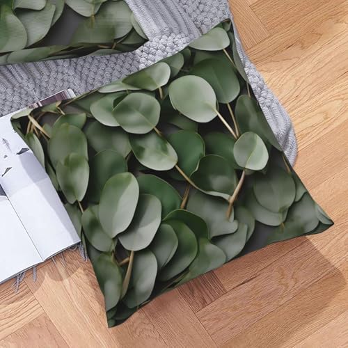 Housse de coussin eucalyptus lavable pour rénover le canapé - 8