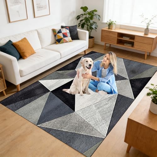 Alfombra moderna lavable de diseño elegante y alta absorción 3