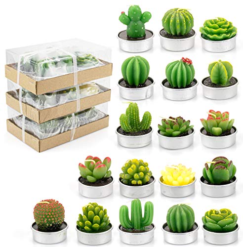 Lawei 18 Pack Cactus Tealight Candles - Handmade Delicate Succulent Mini Plants Candle - Perfect for Home Decor Candles Festival Wedding Props and House-Warming Party by Lawei - Used condition - US$11.17