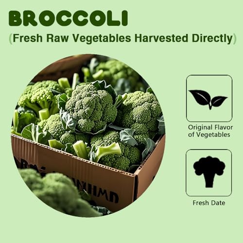 Freeze-Dried Broccoli Crunch - 100% Natural, No Additives | 1.76oz (50g) | Vegan, Non-GMO, Keto-Friendly | Perfect for Snacking, Camping & Cooking. Organic Freeze-Dried Broccoli Florets - 50g | Single-Ingredient Vegetable - Thumbnail 3
