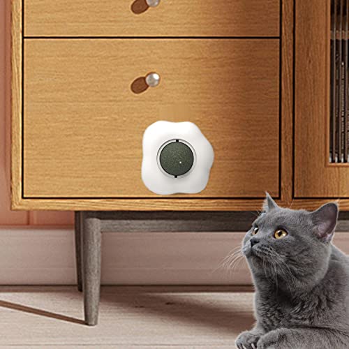 Catnip bolas para gatos | bola rolo Catnip em forma ovo frito,Bolas giratórias menta, brinquedos com