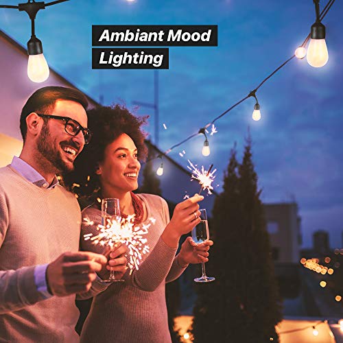 Brightech Ambience Pro Solar Powered Led Outdoor String Lights - 27 Ft Commercial Waterproof Patio Lights With Flaming, Flickering Bulbs - Shatterproof String Lights For Backyard, Porch, Deck #TOP2