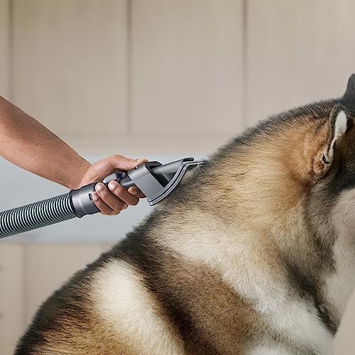 Dyson Groom Tool Upright Vacuums