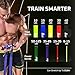 basementbeast Resistance Bands for Men – Set of 10 - Long Exercise Bands Resistance for Home Workouts, Physical Therapy & Strength Training