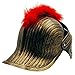 LOOYAR Medieval Knight Soldier Warrior Costume Helmet Hat Sallet with Red Plume and Folding Face Mask for Battle Play Halloween Cosplay LARP