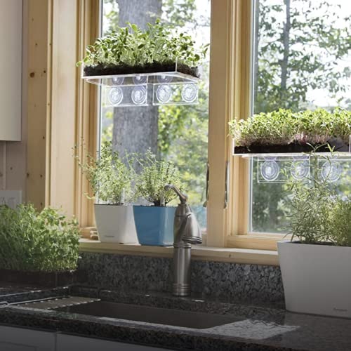 Image of Window Garden Veg Ledge - Window Shelf for Plants, Clear Acrylic Shelves - Suction Cup Indoor Plant Holder - Glass Window Sill Extender for Microgreens Kit, Seed Starter Pots, Planters (1 Pack)