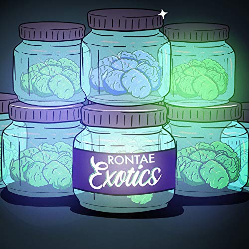 Amazon Music Unlimited Rontae 『Exotics』