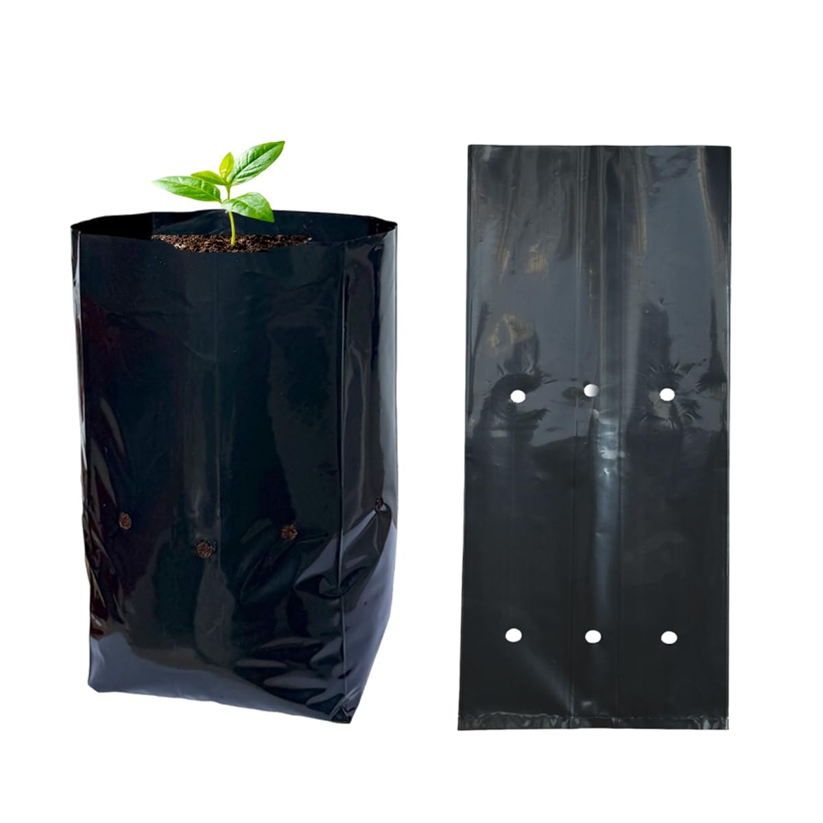 gardtree 50 Pcs Thicken Plastic Plant Nursery Bags 5.5" x 9.3", Grow Bags for Fruit Trees, PE Seedling Pots, Nursing Growing Pouch, Ideal for Flowers, Vegetables, Fruit, Starting Saplings