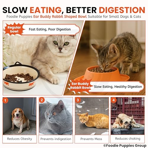 Image of Foodie Puppies Pet Feeding Tilted Cat Bowl - (Ear Buddy Rabbit Shape) | Durable, Anti Vomiting, Healthy Cat Feeder for Persian Cat Prevent Tipping Over | Bowl for Cats, Kittens & Puppies
