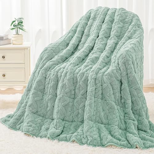 Image of Wemore Weighted Blanket for Adults Twin Size 20 lbs, Dual Sided Soft Fuzzy Jacquard Sherpa Weighted Blankets, Cozy Fluffy Knitted Heavy Blanket, Sage Green and White, 60 x 80 inches