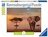Das Ravensburger Puzzle Elefant in Masai Mara Nationalpark mit 1000 Teilen zeigt das derzeit größte lebende Landtier in der afrikanischen Savanne. Die Farbgebung des Motivs macht das Puzzle auch für erfahrene Puzzler zu einer echten Herausforderung