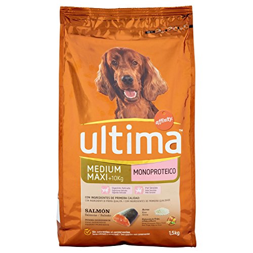 Ultima Cibo per Cani Medium Maxi Monoproteico Salmone Riso, 1.5kg