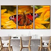3 Piece Framed Canvas Wall Art Colorful Butterfly Insects Canvas Prints Home Artwork Decoration for Living Room,Bedroom - 16