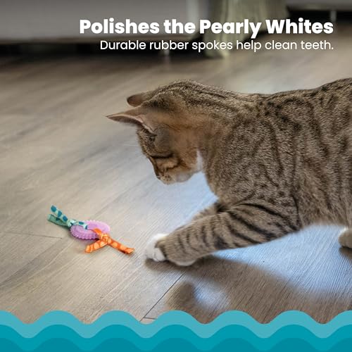 image for Catstages Kitty Chew Wheel, Dental Cat Toy with Catnip Oil, Teeth Clea