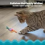 Catstages Kitty Chew Wheel, Dental Cat Toy with Catnip Oil, Teeth Cleaning, Healthy Chewing, Boredom Relief, Kicking & Batting for Kittens and Adult Cats, Purple - Image 3