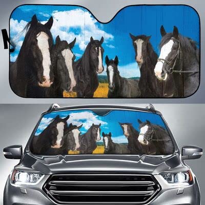 Pare-soleils intérieur pliable auto SUV avec couverture pare-brise Shire L