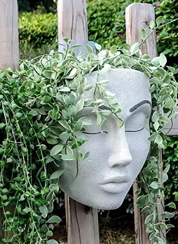 Face a Planter Pot,Face Flower Pot Hanging Indoor Outdoor Wall Decoration