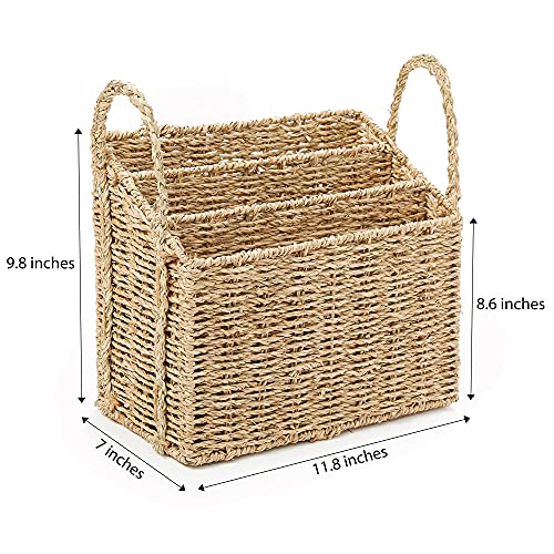 Americanflat Seagrass Magazine & Newspaper Storage Basket - Decorative Handwoven Wicker for Organizing at Home - 3 Rectangular Compartments (Natural Color)