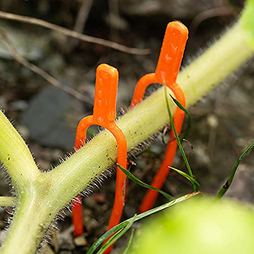 最終値下げ!植物サポート 園芸クリップ固定フォークプラントクリップ