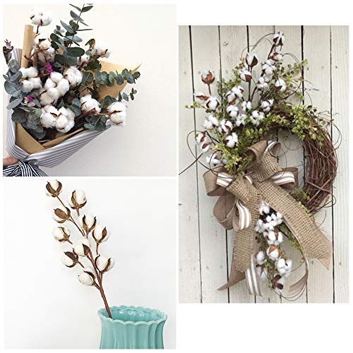 Panxxsen 4 Pcs 21 Inch Cotton Stems,10 Balls Natural White Cotton Artificial Cotton Branch,Farmhouse Style Cotton Floral Picks for Home Wedding Decoration
