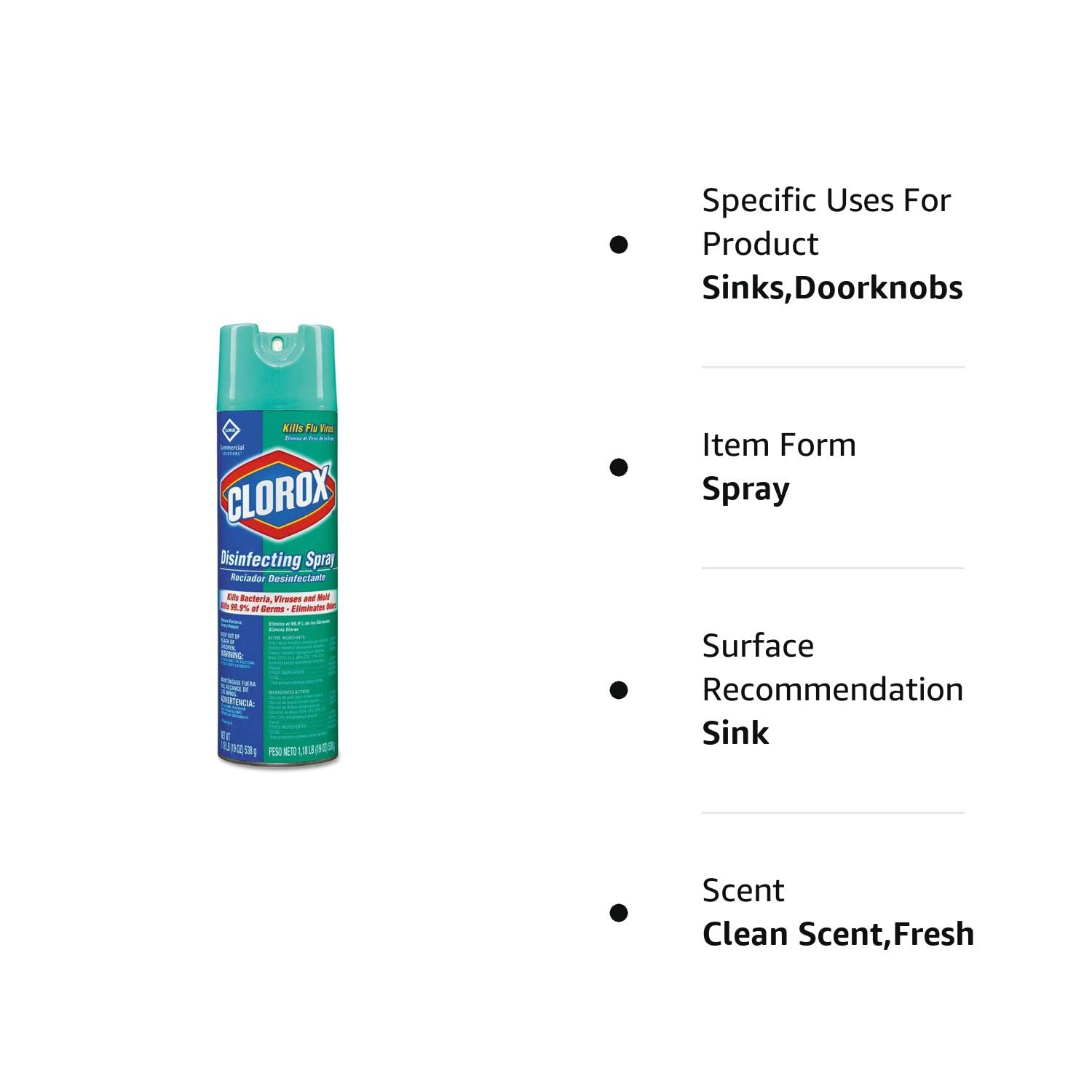 Clorox Disinfectant Spray, 19 Ounce, 1 Each