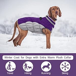   FUAMEY-Dog-CoatWarm-Dog-Jacket-Winter-Coat-Paded-Dog-Fleece-Vest-Reflective-Dog-Cold-Weather-Coats-with-Built-in-Harness-Waterproof-Windproof-Dog-Snow-Jacket-Clothes-with-Zipper-Purple-Large