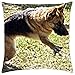 Produktbild Sheba - Throw Pillow Cover Case (16