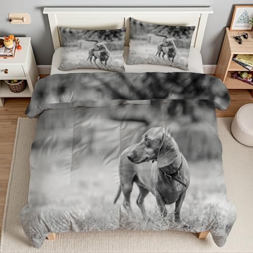 Piumino Matrimoniale Bassotto Trapunte Grigio Piumone Imbottito Resistente Lavabile, Super Morbida Trapunta, piumini 220x240 cm in Microfibra Reversibile e 2 Federa 50x80 cmT1865