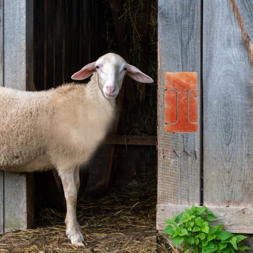 kathson Blocos de sal do Himalaia para cavalos saleiro animal lamber tijolo mineral natural rosa sal