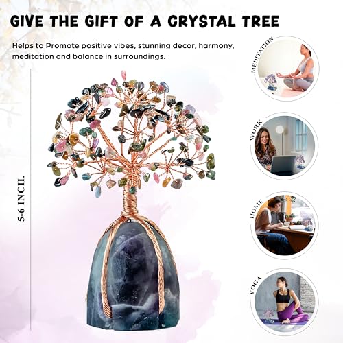 Image of Crocon Multi Tourmaline Crystals Tree with Fluorite Rough Base, Birthday