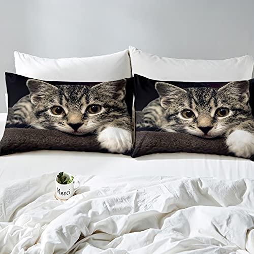 Feelyou Cats Comforter Set 3D Animals Pattern Bedding Set For Kids Boys Girls Pet Cat Kitten Decor Comforter Brown Grey Quilt Set Room 3Pcs Queen Size #TOP3