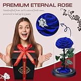 Touloube B0FFMT4STZ lato 4