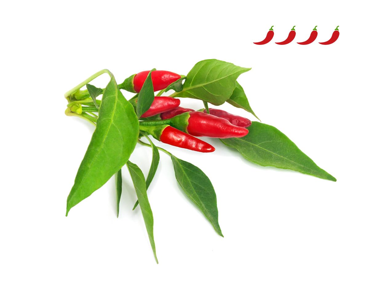 Click and Grow Smart Garden Piri Piri Chili Pflanzenkapseln, 3er-Pack