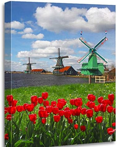 Altuny Print Wall Art Painting Pictures Traditional Dutch Windmills Red Tulips Close The Amsterdam Holland 12x16 Inch Artwork Modern Decor for Living Room Bedroom Bathroom