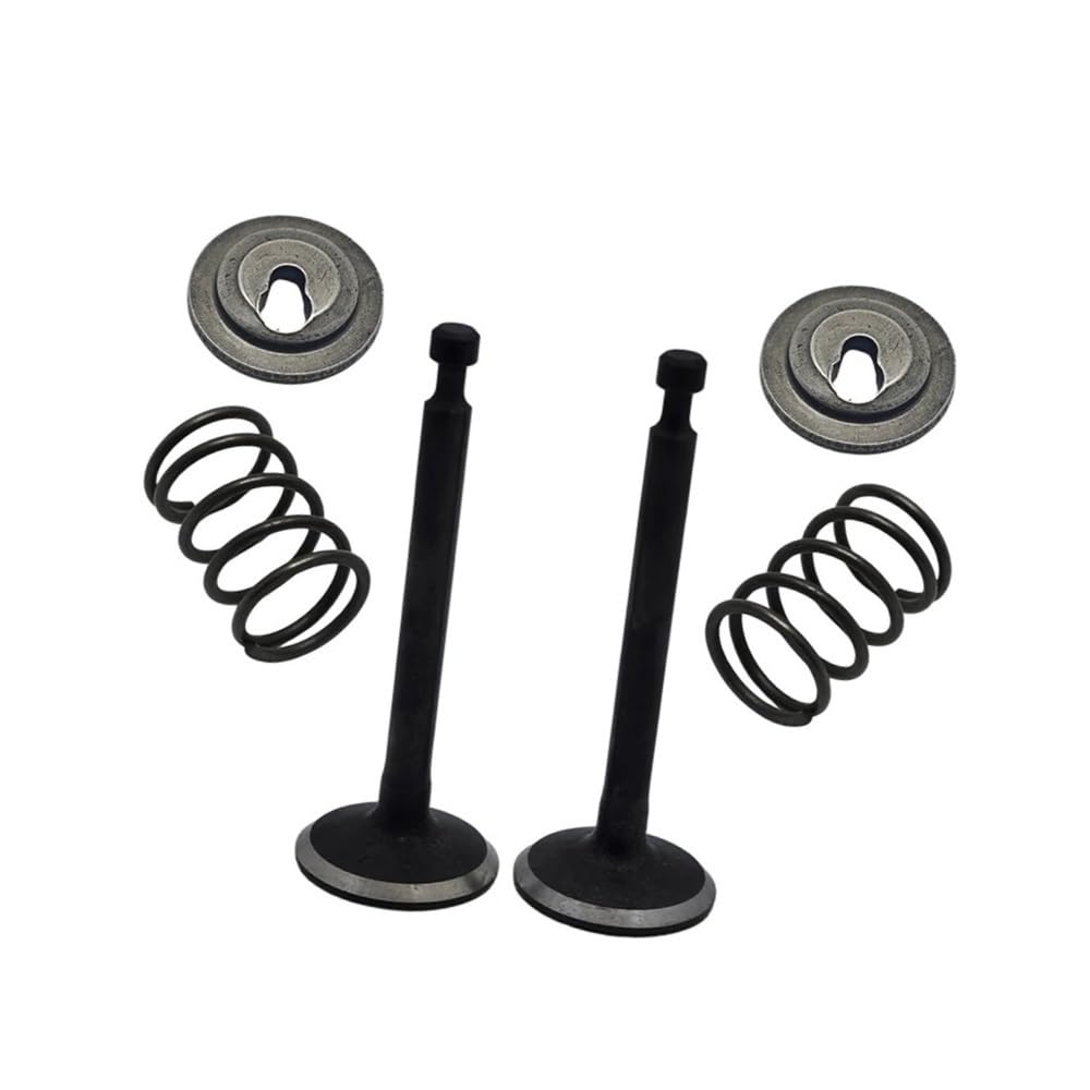 Jeu de retenue à ressort robuste pour petite pièce de moteur GX25 débroussailleuse
