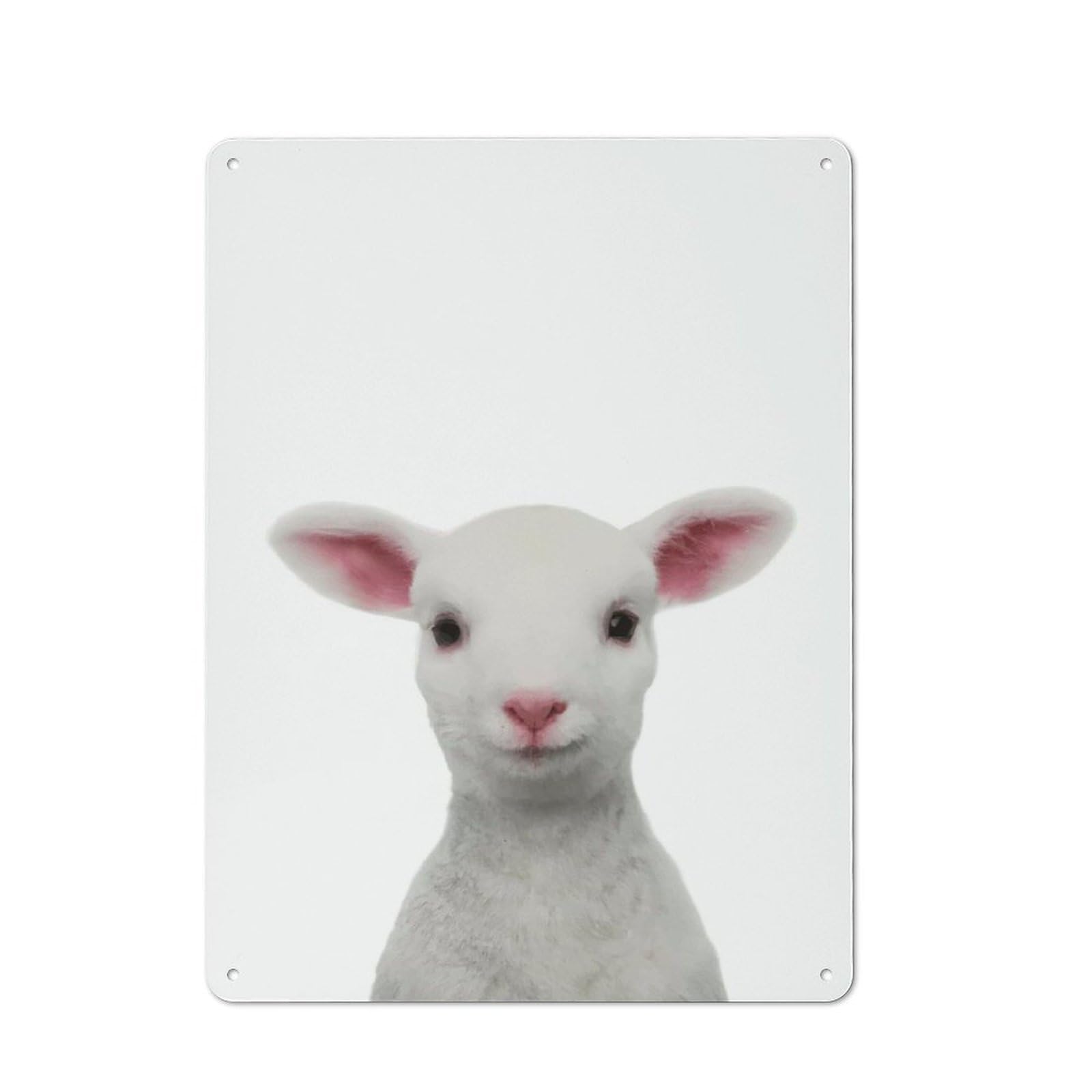 Lamb Baby Animal Decorative Tin Sign 40x30cm, Distressed Look Vintage Wall Decor for Lounge, Study, Pub Or Wall Gallery