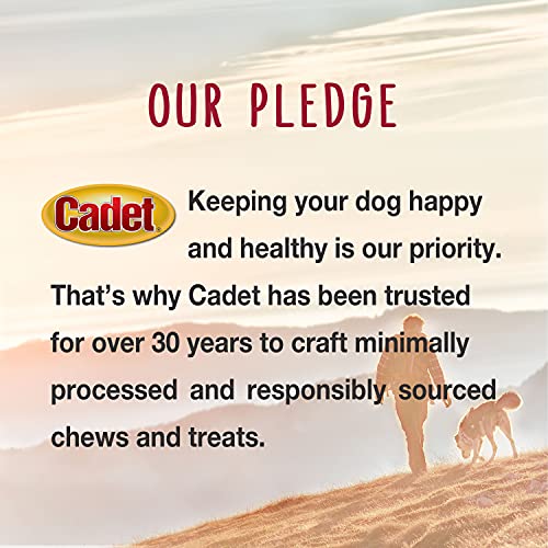 Cadet Gourmet Beef Hide & Duck Dog Twist Sticks 5 In. (50 Count) #TOP7