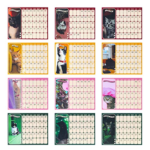 Calendar 2023, Desk Calendar 2023, 8" X 8" Cat Calendar 2023 With Todo