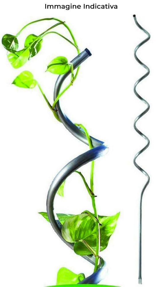Giordanoshop Set 10 Sostegni Tutori a Spirale per Piante Pomodori 180 cm in Acciaio Agrati