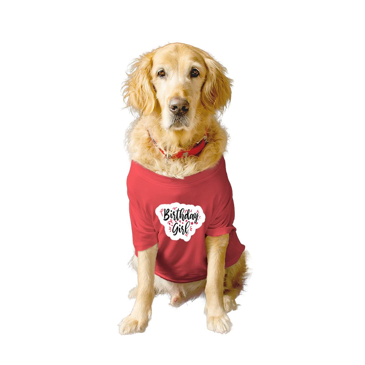 RuseRuse Basic Crew Neck Birthday Girl Printed Half Sleeves/Apparel/Clothes/T-Shirt Gift for Dogs.Colour-Poppy Red/Medium (Chubby Pugs, Beagle etc.)