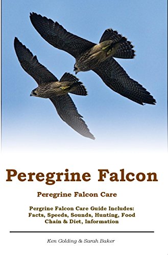 Peregrine Falcon. Peregrine Falcon Care. Pergrine Falcon Care Guide Includes: Facts, Speeds, Sounds, Hunting, Food Chain & Diet, Information